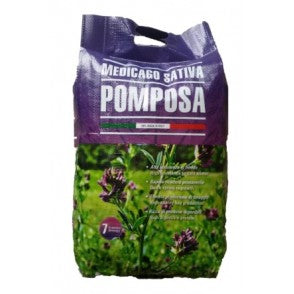 Seminte de lucerna Pomposa, 25 kg+5kg Black Friday 2026 stoc limitat