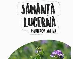 Seminte de lucerna Dobrogea, netratata , 25 kilograme+5kg Black Friday 2026 Limitat